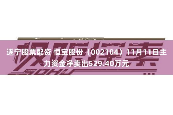 遂宁股票配资 恒宝股份（002104）11月11日主力资金净卖出529.40万元