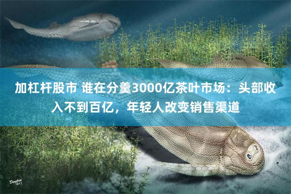 加杠杆股市 谁在分羹3000亿茶叶市场：头部收入不到百亿，年轻人改变销售渠道