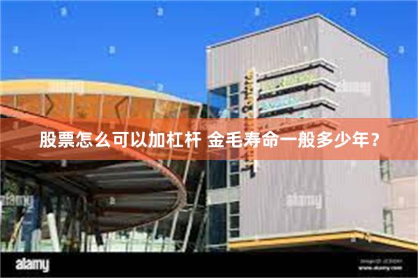 股票怎么可以加杠杆 金毛寿命一般多少年？