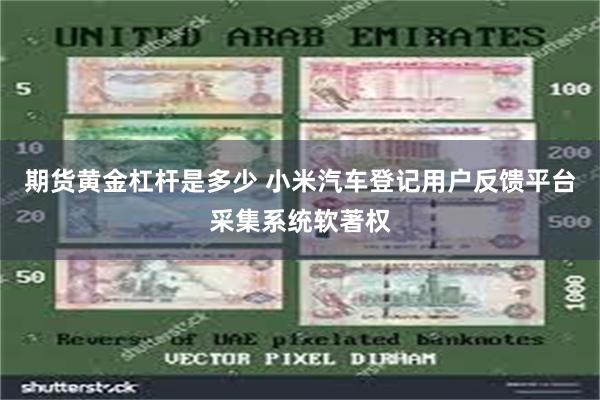 期货黄金杠杆是多少 小米汽车登记用户反馈平台采集系统软著权