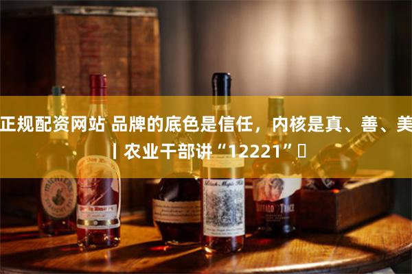 正规配资网站 品牌的底色是信任，内核是真、善、美丨农业干部讲“12221”⑯