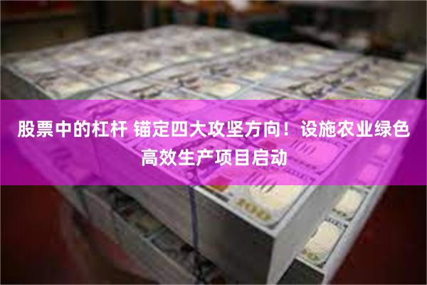 股票中的杠杆 锚定四大攻坚方向！设施农业绿色高效生产项目启动