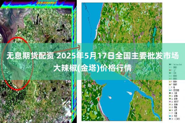 无息期货配资 2025年5月17日全国主要批发市场大辣椒(金塔)价格行情