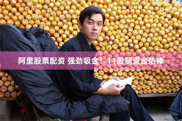 阿里股票配资 强劲吸金！11股获资金热捧