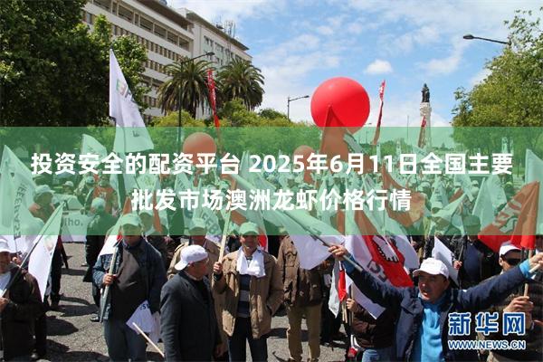 投资安全的配资平台 2025年6月11日全国主要批发市场澳洲龙虾价格行情