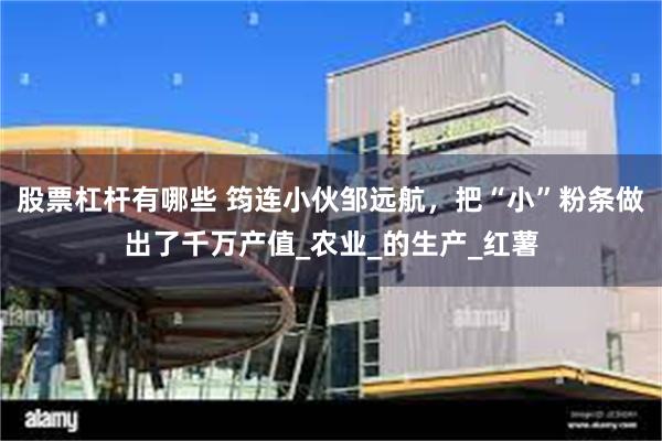 股票杠杆有哪些 筠连小伙邹远航，把“小”粉条做出了千万产值_农业_的生产_红薯
